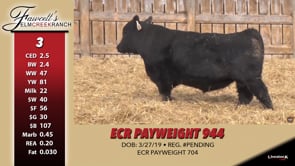 Lot #3 - ECR PAYWEIGHT 944