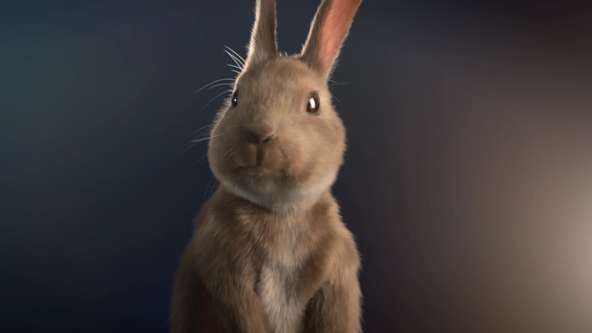REDRUM - Mr. Rabbit on Vimeo