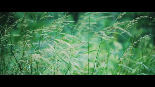 deVine Voices Native Finnish Female Voiceover Vallox Image Film