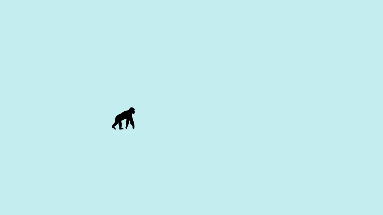 DDR_intro_sv on Vimeo