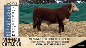 Lot #103 - VIN-MAR SCREENSHOT 828