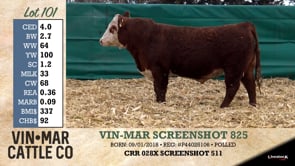 Lot #101 - VIN-MAR SCREENSHOT 825