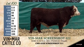 Lot #100 - VIN-MAR SCREENSHOT 822