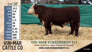 Lot #98 - VIN-MAR SCREENSHOT 817
