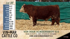 Lot #96 - VIN-MAR SCREENSHOT 814