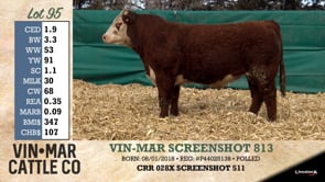 Lot #95 - VIN-MAR SCREENSHOT 813