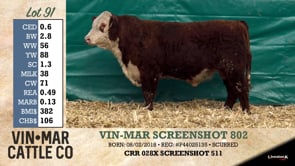 Lot #91 - VIN-MAR SCREENSHOT 802