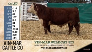 Lot #89 - VIN-MAR WILDCAT 823