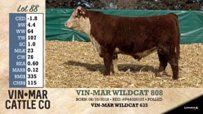 Lot #88 - VIN-MAR WILDCAT 808