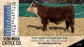 Lot #88 - VIN-MAR WILDCAT 808