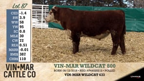 Lot #87 - VIN-MAR WILDCAT 800