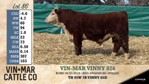 Lot #86 - VIN-MAR VINNY 826