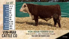 Lot #85 - VIN-MAR VINNY 818