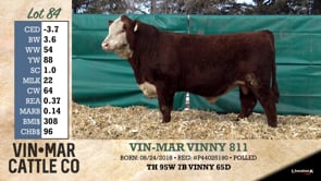Lot #84 - VIN-MAR VINNY 811