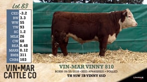 Lot #83 - VIN-MAR VINNY 810