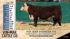 Lot #79 - VIN-MAR PIONEER 824