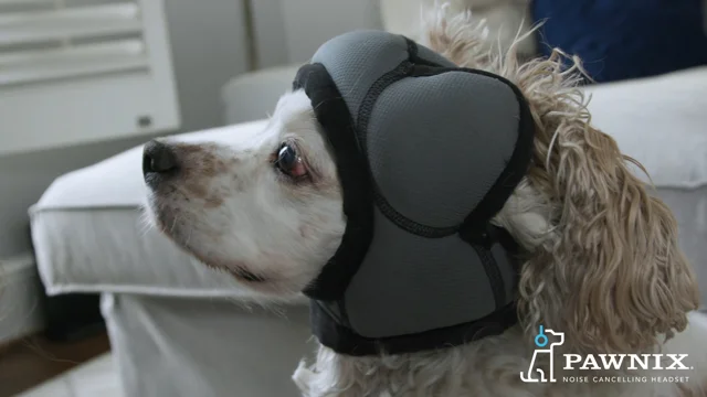 Pawnix Noise Cancelling Headset for Dogs NewsWatch Review