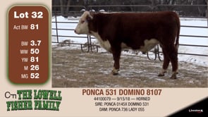 Lot #32 - PONCA 531 DOMINO 8107