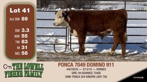 Lot #41 - PONCA 7049 DOMINO 911