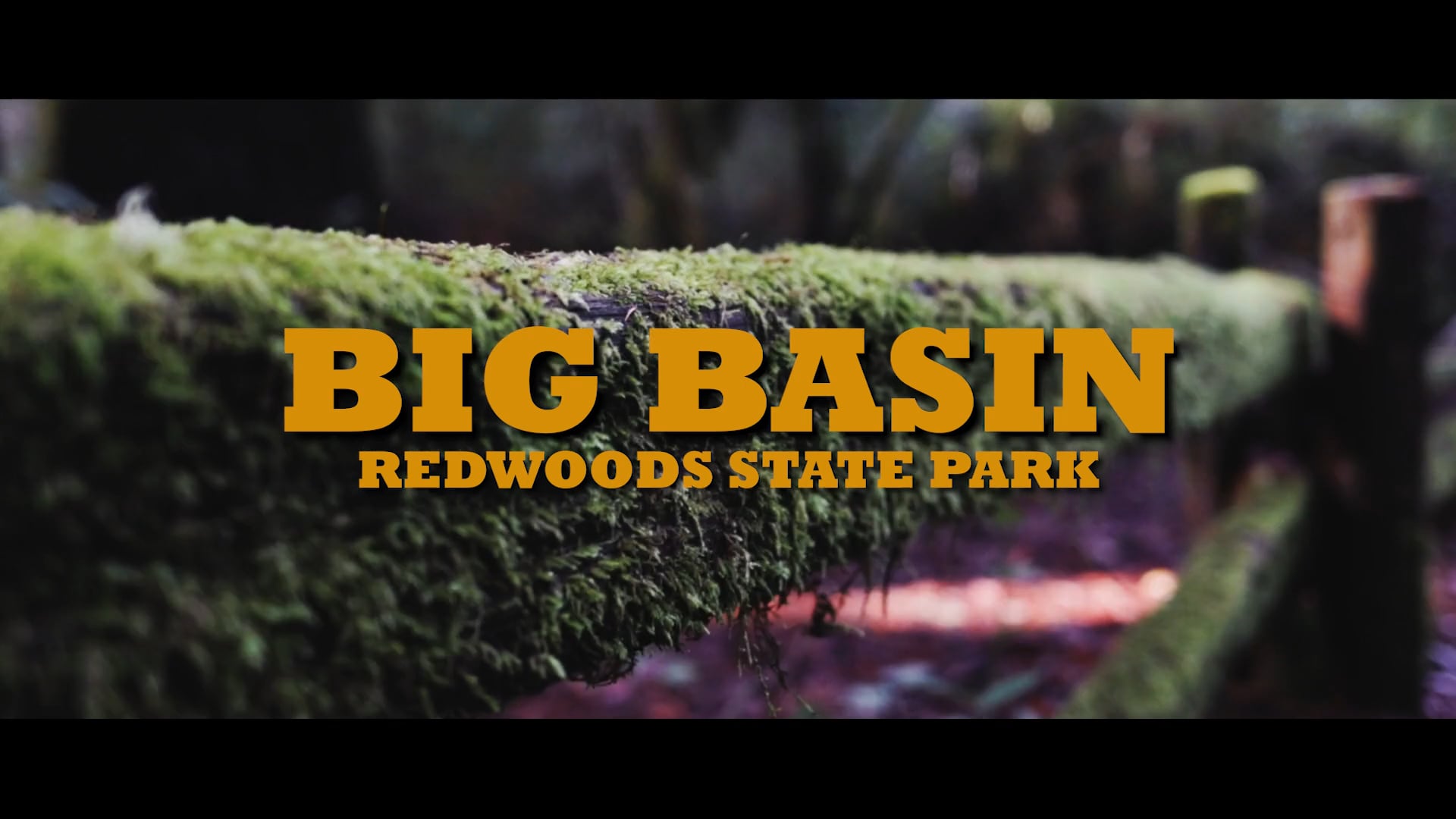 Travel Film | Big Basin Redwoods State Park (2019)