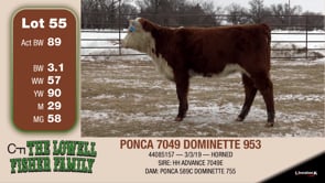 Lot #55 - PONCA 7049 DOMINETTE 953