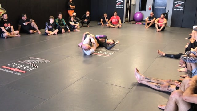 Leg Lock Seminar 5- Clover Leaf Finishes