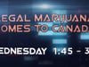 IMPACT: 2020 - Legal Marijuana