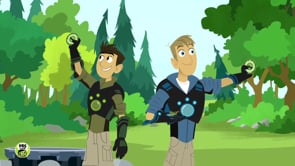 Videos About Wildkratts On Vimeo