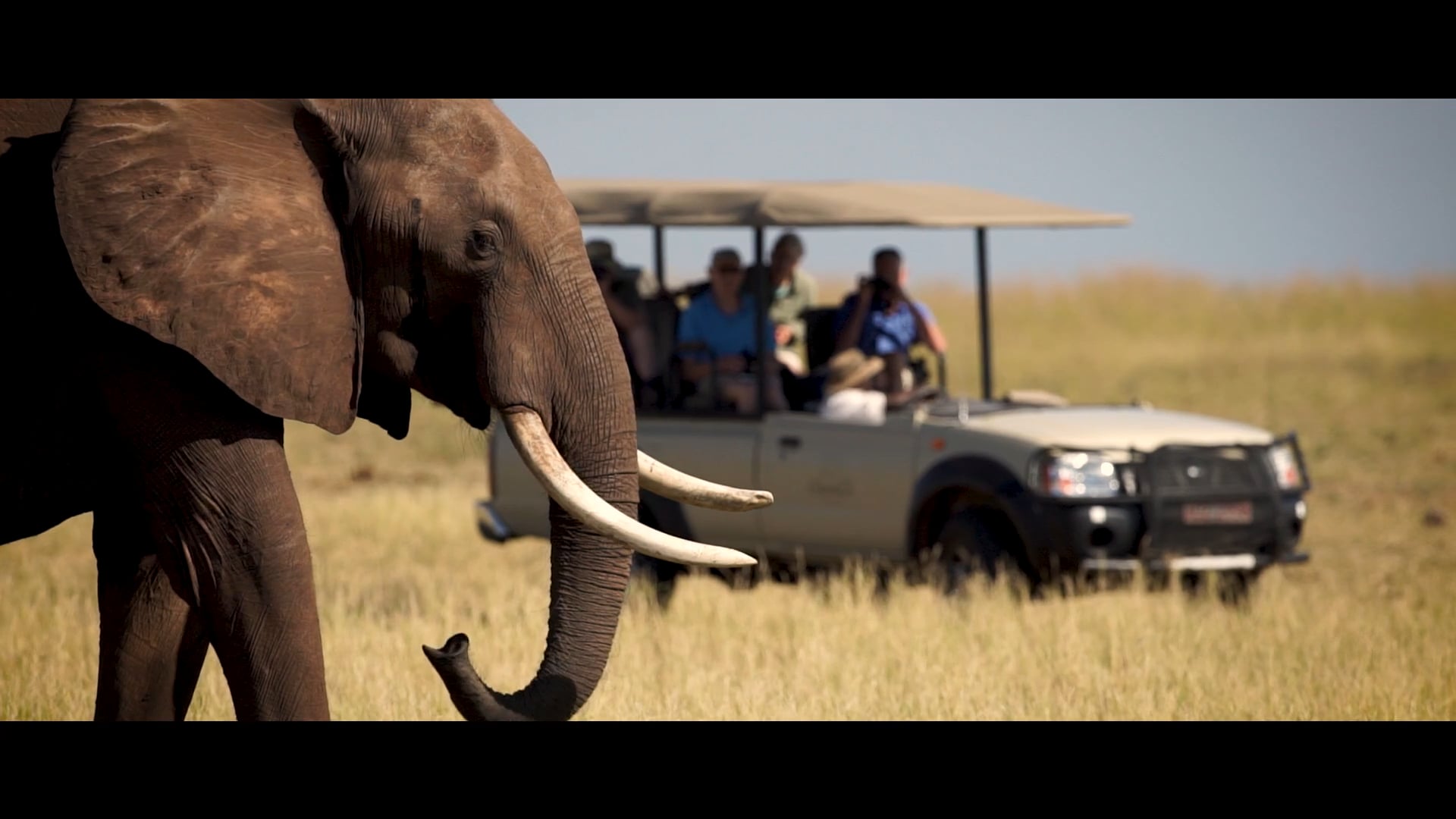 Changa Safari Camp