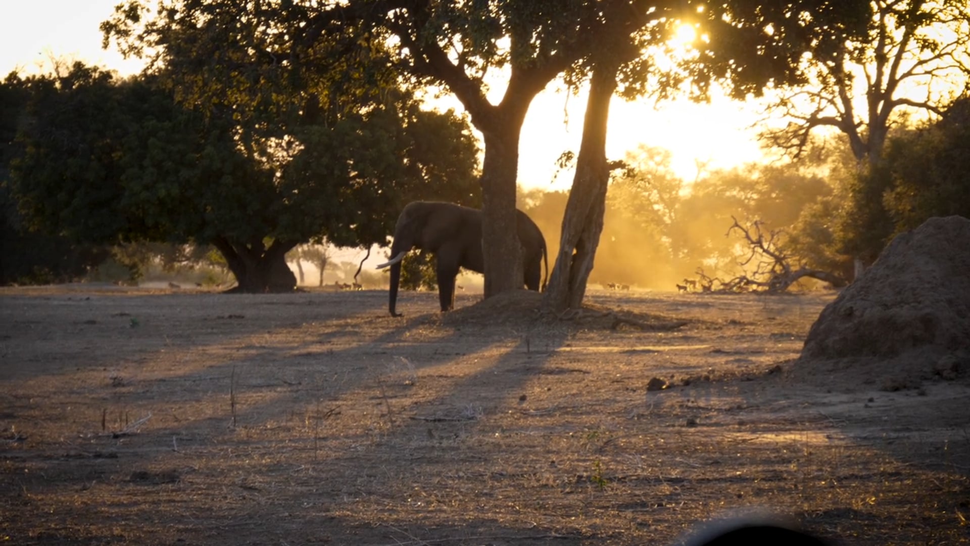 Mwinilunga Safari Camp
