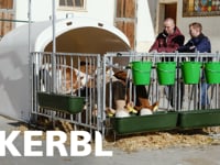 http://www.kerbl.de/artikel/14520  Die aus glasfaserverst&amp;auml;rktem Kunststoff hergestellte Gruppenk&amp;auml;lberh&amp;uuml;tte bietet Platz f&amp;uuml;r bis zu 5 K&amp;auml;lber&amp;hellip;