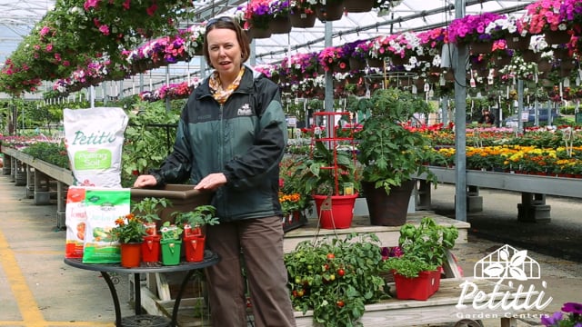 Container Veggies