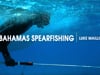 Spearfishing with Bahamas' Freedive National Record Holder Luke Maillis