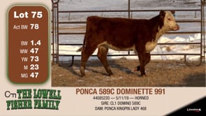 Lot #75 - PONCA 589C DOMINETTE 991