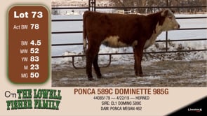 Lot #73 - PONCA 589C DOMINETTE 985G
