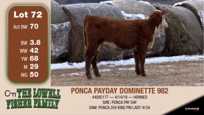 Lot #72 - PONCA PAYDAY DOMINETTE 982