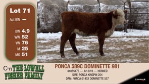 Lot #71 - PONCA 589C DOMINETTE 981