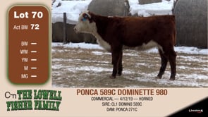 Lot #70 - PONCA 589C DOMINETTE 980