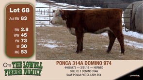 Lot #68 - PONCA 314A DOMINO 974