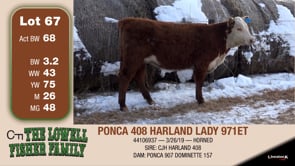 Lot #67 - PONCA 408 HARLAND LADY 971ET