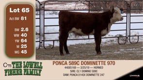 Lot #65 - PONCA 589C DOMINETTE 970