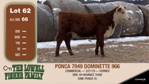 Lot #62 - PONCA 7049 DOMINETTE 966