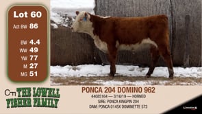 Lot #60 - PONCA 204 DOMINO 962