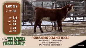 Lot #57 - PONCA 589C DOMINETTE 958