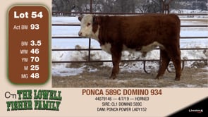 Lot #54 - PONCA 589C DOMINO 934