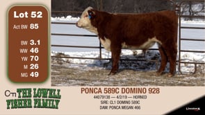 Lot #52 - PONCA 589C DOMINO 928
