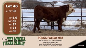 Lot #46 - PONCA PAYDAY 918