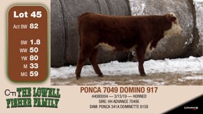 Lot #45 - PONCA 7049 DOMINO 917