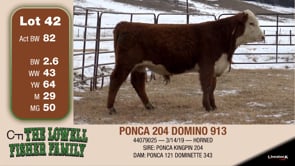 Lot #42 - PONCA 204 DOMINO 913