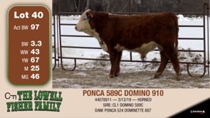 Lot #40 - PONCA 589C DOMINO 910